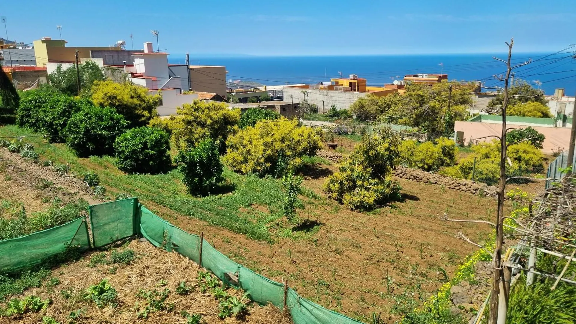 Holiday home Vivienda Vacacional Ca Na Paula La Orotava Spain