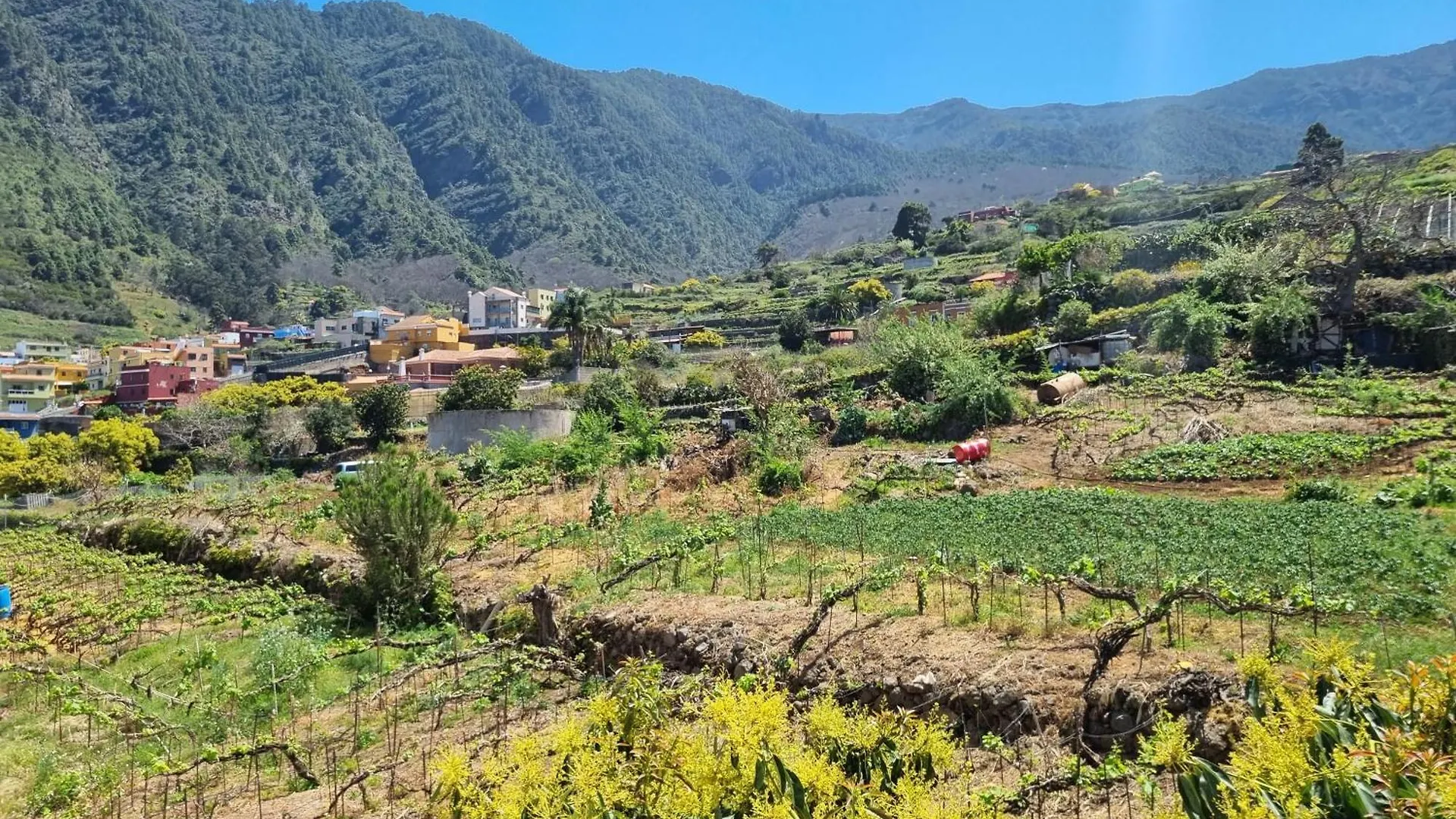 Holiday home Vivienda Vacacional Ca Na Paula La Orotava