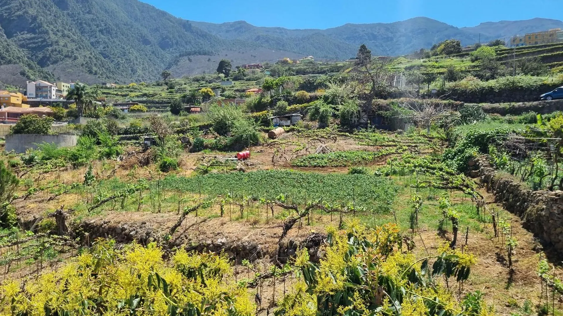 Vivienda Vacacional Ca Na Paula La Orotava 0*,